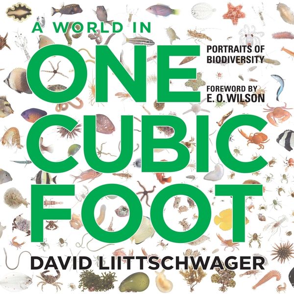 A World in One Cubic Foot | 0:e upplagan