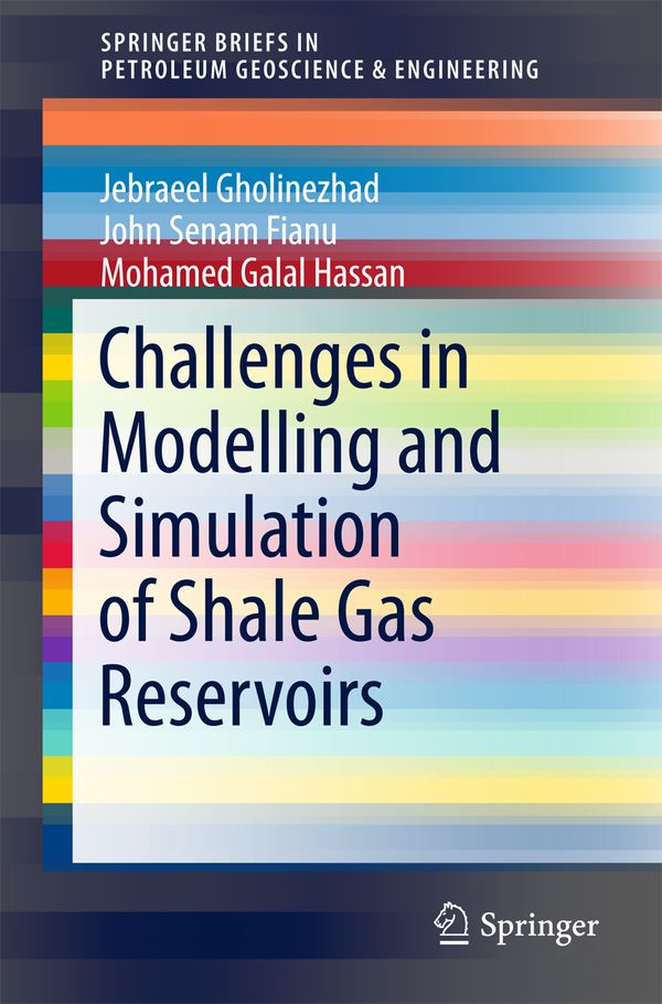 Challenges in Modelling and Simulation of Shale Gas Reservoirs | 1:a upplagan