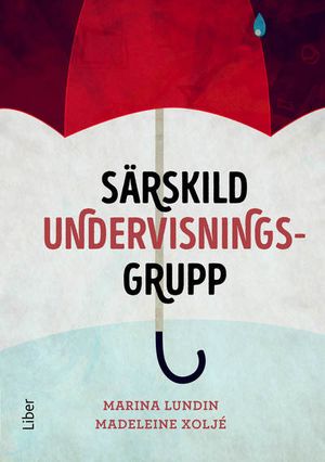 Särskild undervisningsgrupp | 1:a upplagan