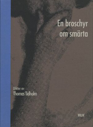 En broschyr om smärta