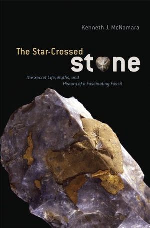 The Star-Crossed Stone