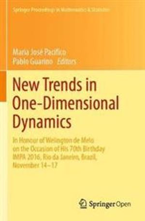 New Trends in One-Dimensional Dynamics | 1:a upplagan