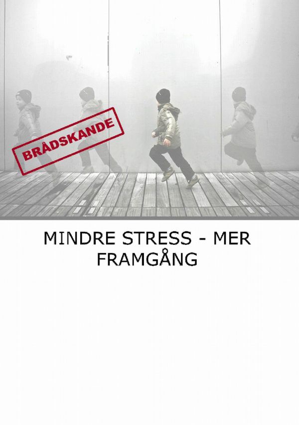 Mindre stress : mer framgång | 0:e upplagan