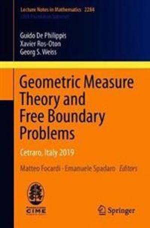 Geometric Measure Theory and Free Boundary Problems | 1:a upplagan