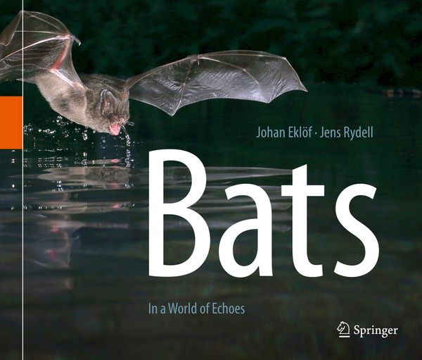 Bats | 1:a upplagan