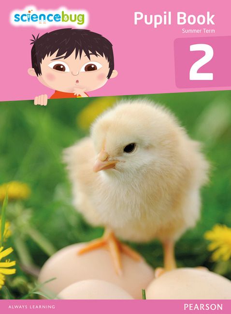 Science Bug Pupil Book Year 2 | 0:e upplagan