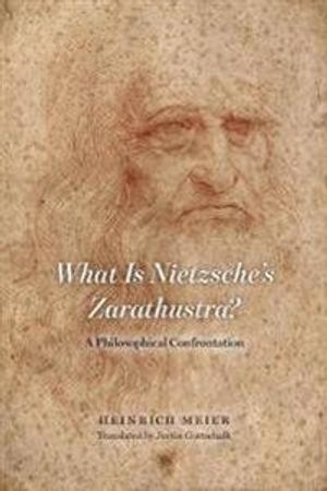 What is Nietzsche`s Zarathustra? – A Philosophical Confrontation