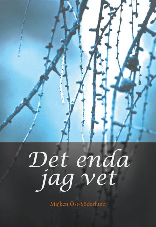 Det enda jag vet | 1:a upplagan