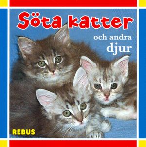 Söta katter och andra djur