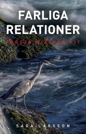 Första Hjälpen Kit -  Farliga relationer