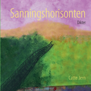 Sanningshorisonten | 1:a upplagan