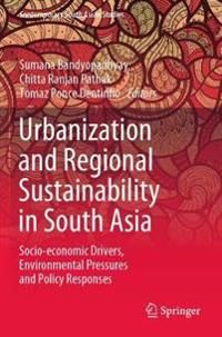 Urbanization and Regional Sustainability in South Asia