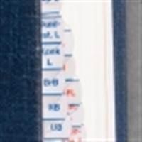 U-TAB Registerflikar till Sveriges Rikes Lag | 0:e upplagan