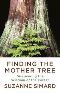 Finding the Mother Tree | 0:e upplagan