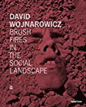 David wojnarowicz - brush fires in the social landscape