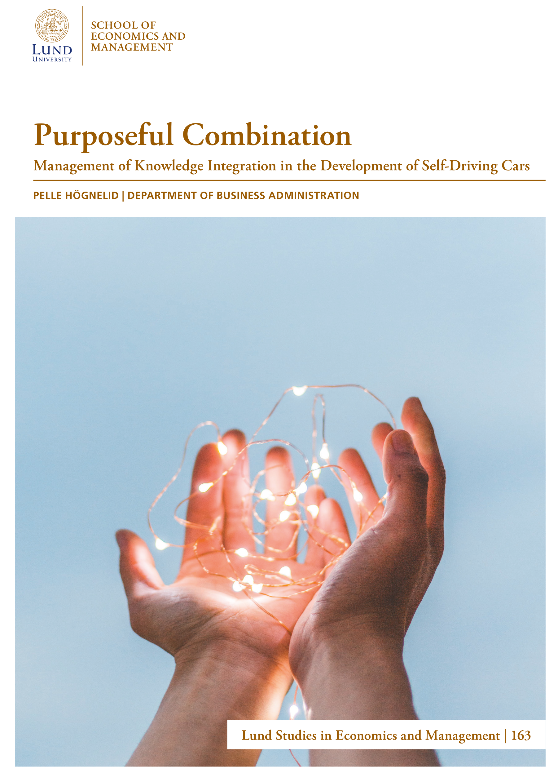 Purposeful Combination - Pelle Högnelid