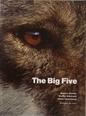 The Big Five