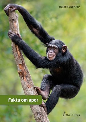 Fakta om apor | 1:a upplagan