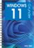 Windows 11 Grunder