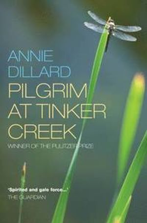 Pilgrim at tinker creek