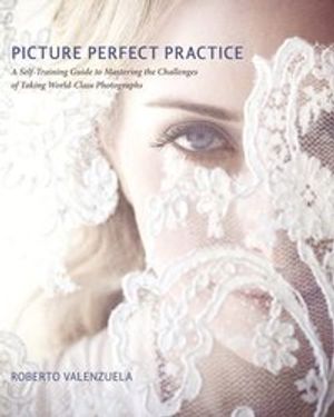 Picture Perfect Practice | 1:a upplagan