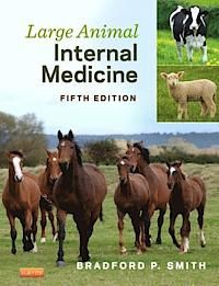 Large animal internal medicine