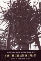 Can the Subaltern Speak? | 0:e upplagan