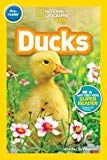 National Geographic Kids Readers: Ducks (Pre-reader)
