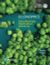Economics, Global Edition