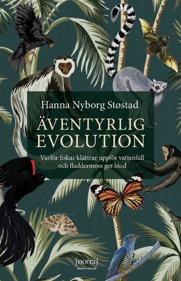 Äventyrlig evolution | 1:a upplagan