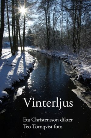 Vinterljus