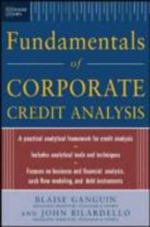 Fundamentals of corporate credit analysis | 1:a upplagan