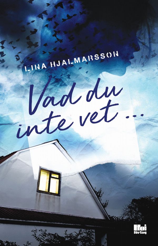 Det du inte vet | 0:e upplagan