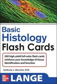 Lange Basic Histology Flash Cards