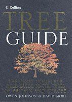 Collins Tree Guide