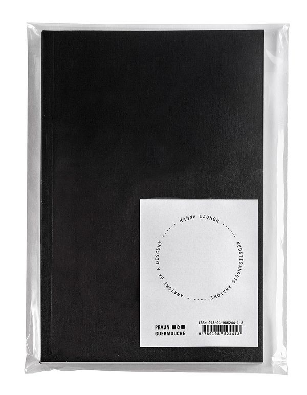 Anatomy of a descent / Nedstigandets anatomi | 1:a upplagan