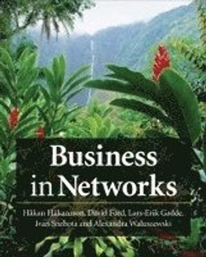 Business in Networks | 1:a upplagan