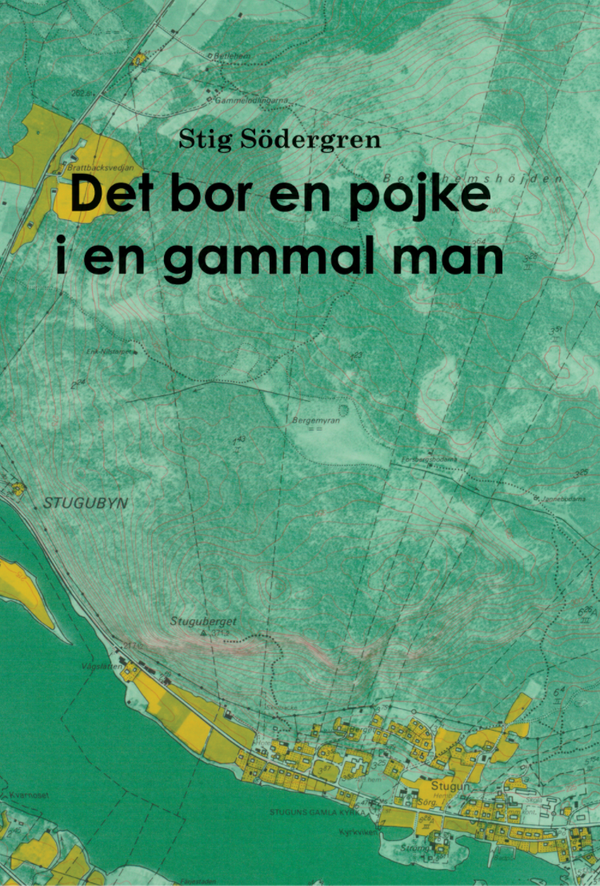 Det bor en pojke i en gammal man | 0:e upplagan