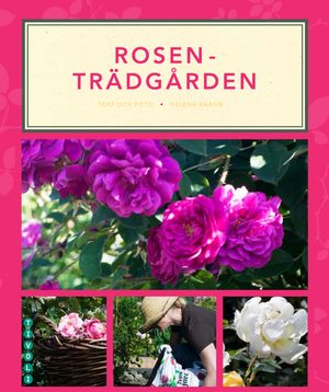 Rosenträdgården | 1:a upplagan