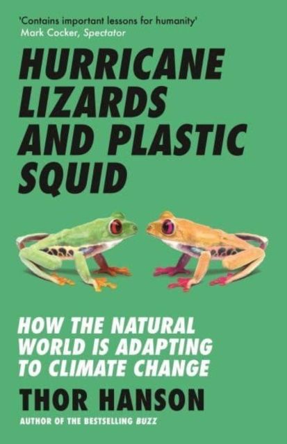 Hurricane Lizards and Plastic Squid | 0:e upplagan