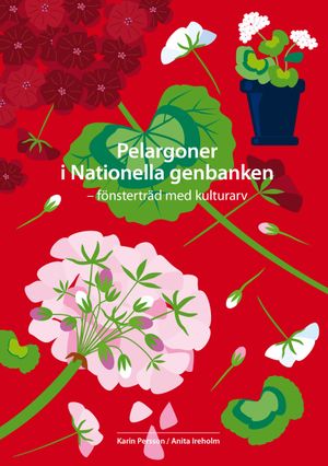 Pelargoner i Nationella genbanken - fönsterträd med kulturarv