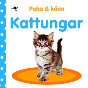 Peka och känn : kattungar