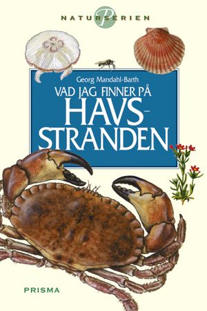 Vad jag finner på havsstranden | 9:e upplagan