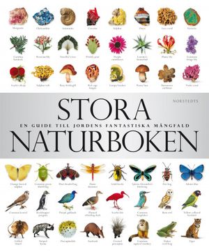 Stora naturboken : en guide till jordens fantastiska mångfald | 1:a upplagan