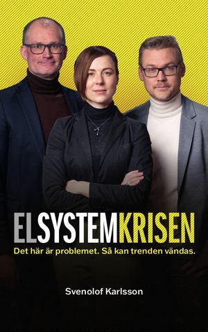 Elsystemkrisen