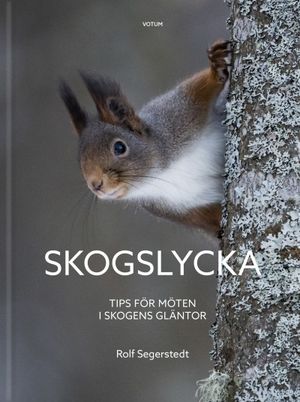 Skogslycka - tips för möten i skogens gläntor | 1:a upplagan