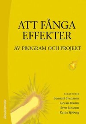 Att fånga effekter : av program och projekt | 1:a upplagan