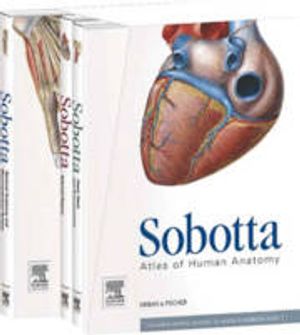 Sobotta Atlas of Human Anatomy, Package, English/Latin | 15:e upplagan