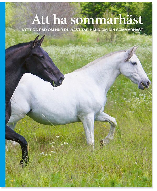 Att ha sommarhäst | 1:a upplagan