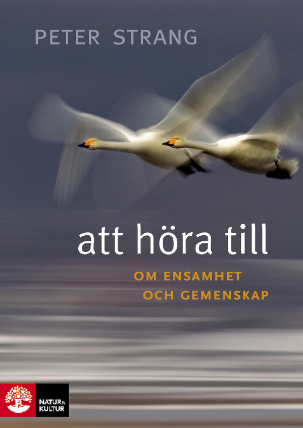 Att höra till : om ensamhet och gemenskap | 1:a upplagan